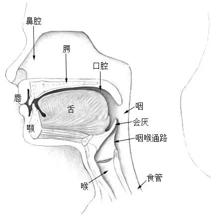 一个睡眠小习惯 可能会损害心脏和血管 快看你有没有  第2张