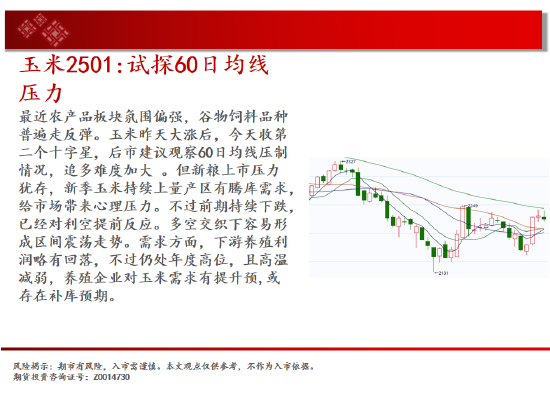 中天期货:棕榈冲高回落 纸浆区间震荡