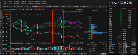 祥源文旅非经营性资金占用虽已归还，但仍被出具警示函！  第1张