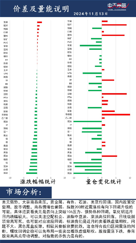 中天策略:11月13日市场分析