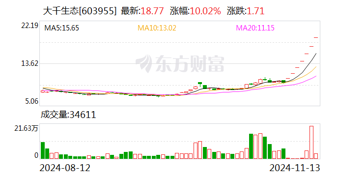 7连板大千生态：滚动市盈率和市净率均显著高于平均水平