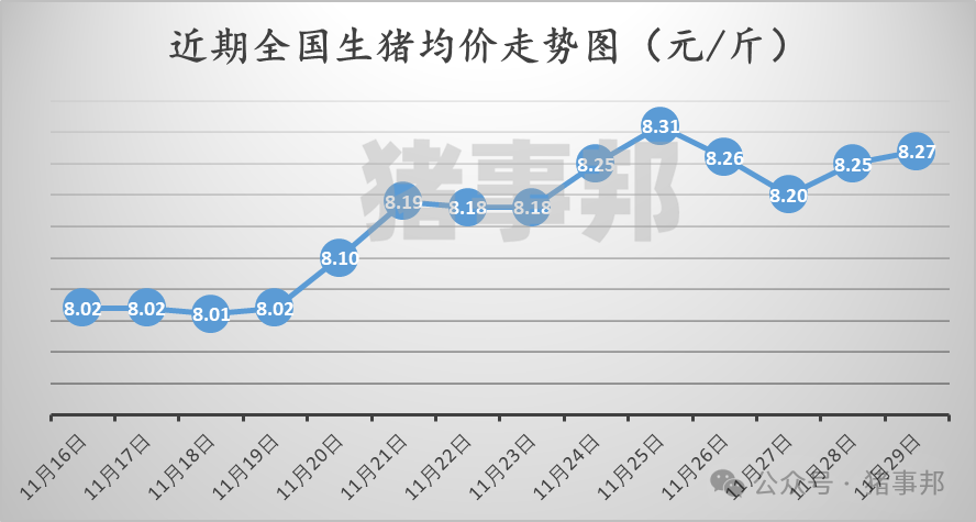 11月29日猪价汇总（市场心态不一，情绪转弱！）  第3张